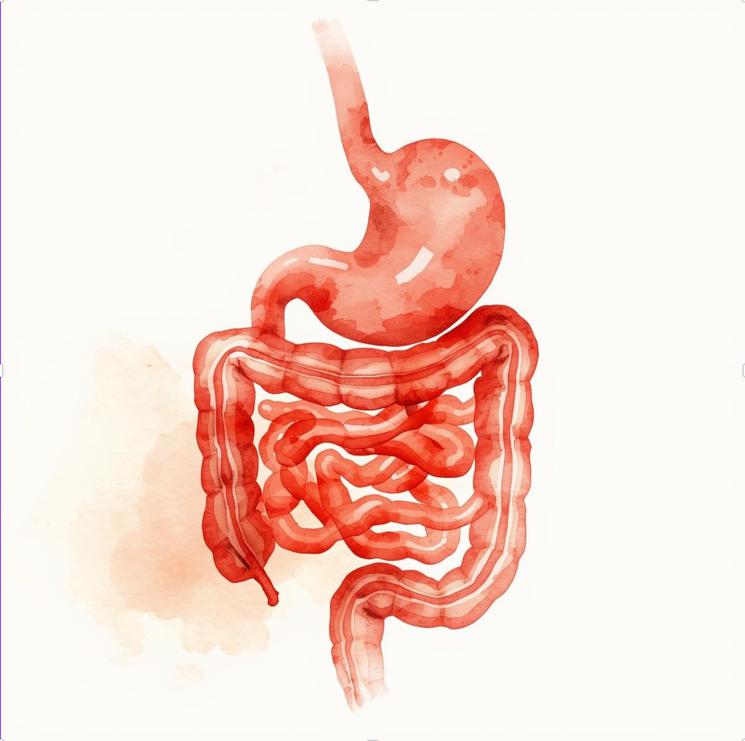 Чистый кишечник и здоровая микрофлора 