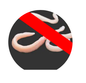  Онлайн-курс против паразитов 